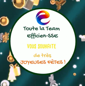 Efficien-SSE vous souhaite de très belles fêtes!
