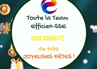 Efficien-SSE vous souhaite de très belles fêtes!