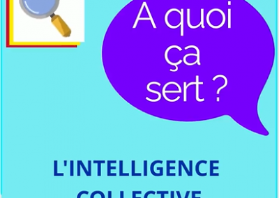 A quoi ça sert? L’intelligence collective